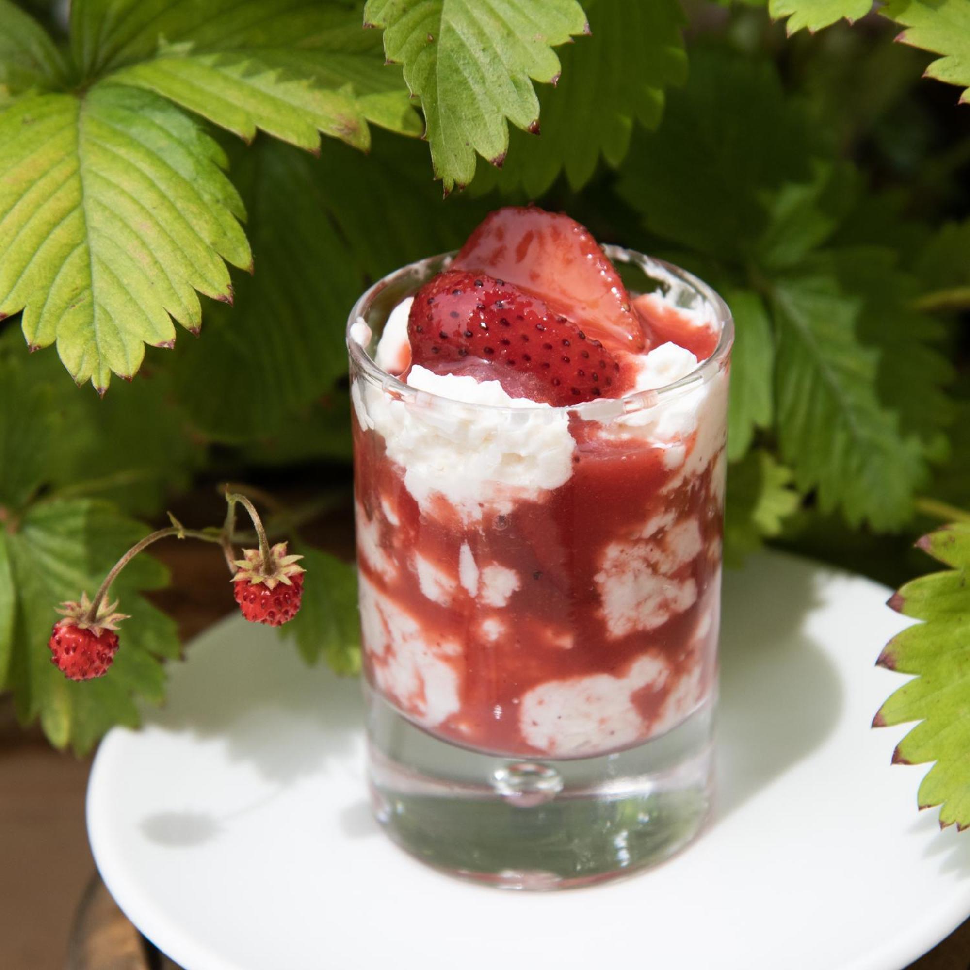 Villa Inglese Picinisco 外观 照片